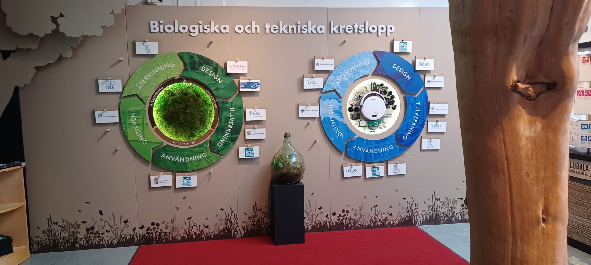 Öppen grundläggande hållbarhet- och miljöutbildning på Ekocentrum
