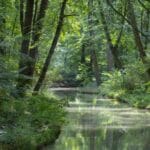 Ekocentrum bjuder in till Biodiversity fresk!