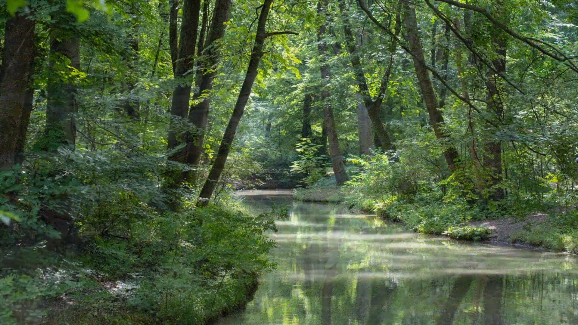 Ekocentrum bjuder in till Biodiversity fresk!
